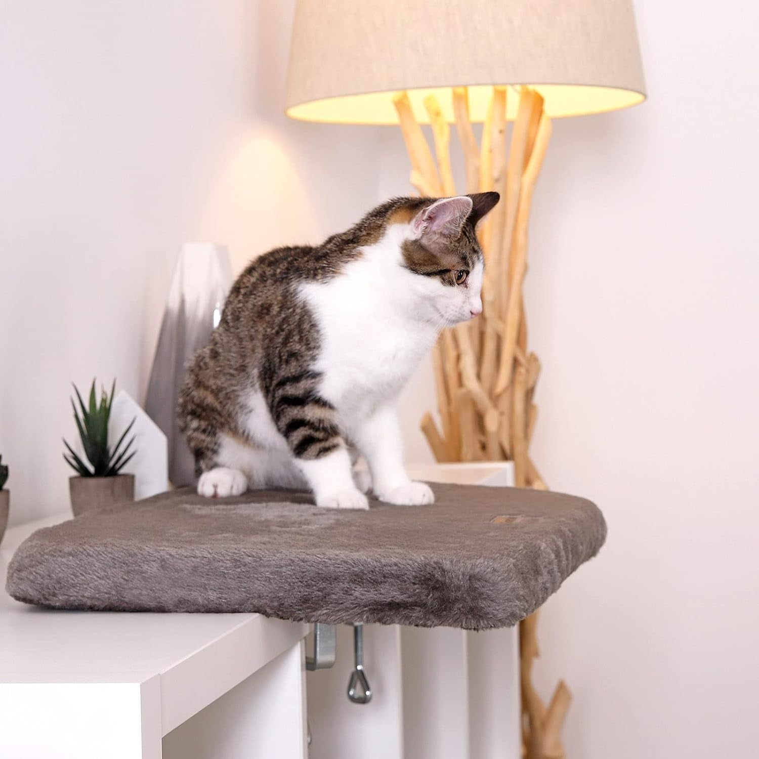 Pături și mobilier, Scaune ferestre, Animale de companie, Pisici, Paturi pentru pisici, Pisici - culcusuri, saltele