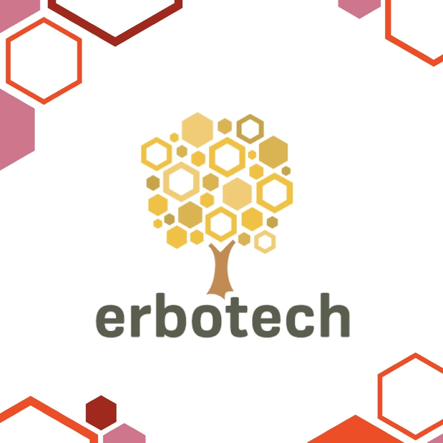 ERBOTECH Goji Berries 200 g, baies de goji à haute teneur en vitamines, fruits secs sans sucre ni soufre, superaliments naturels et riches en énergie, Made in Italy Produits déshydratés Naty Shop