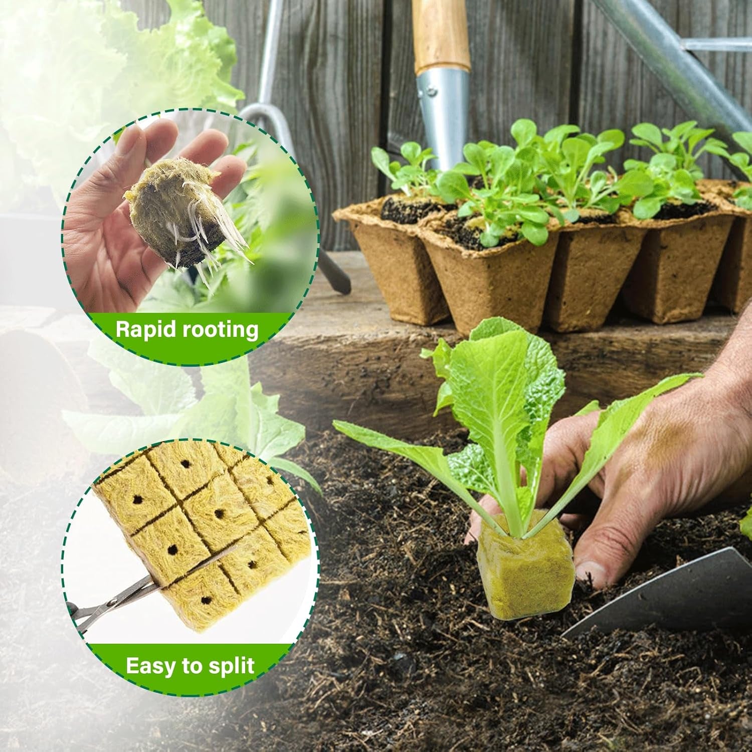 100 pièces de laine de roche Anzucht Würfel 2.5x2.5x2.5CM Rockwool Cube Anzuchtmatte Steinwolle Anbau Hydrokultur Umpflanzen für Bodenlose Anzucht Setzlinge Stecklinge Klonpflanzen