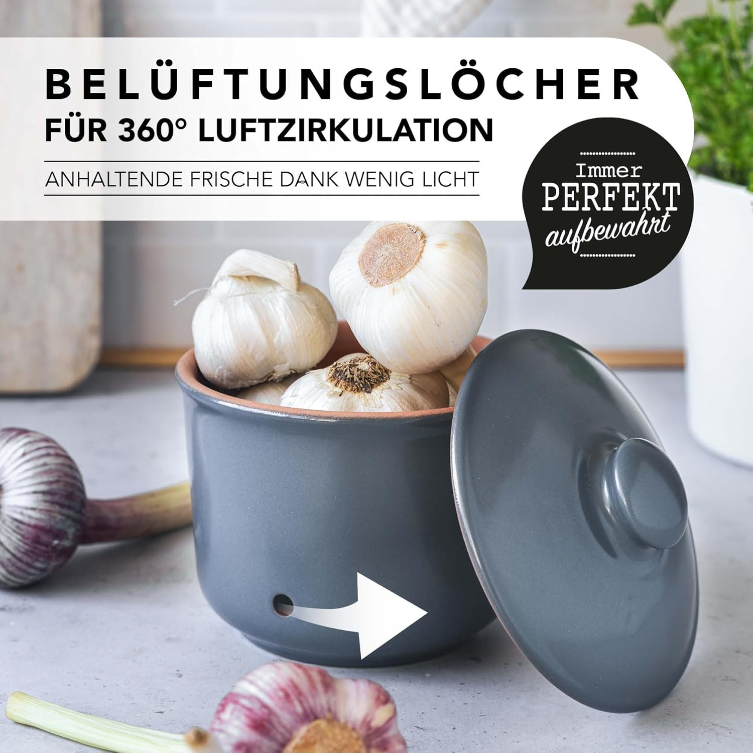 Pot à ail Römertopf pot frais en argile naturelle pour une longue durée de conservation des aliments comme l'ail Ø 12,5 cm blanc Boîtes de conservation alimentaire Naty Shop