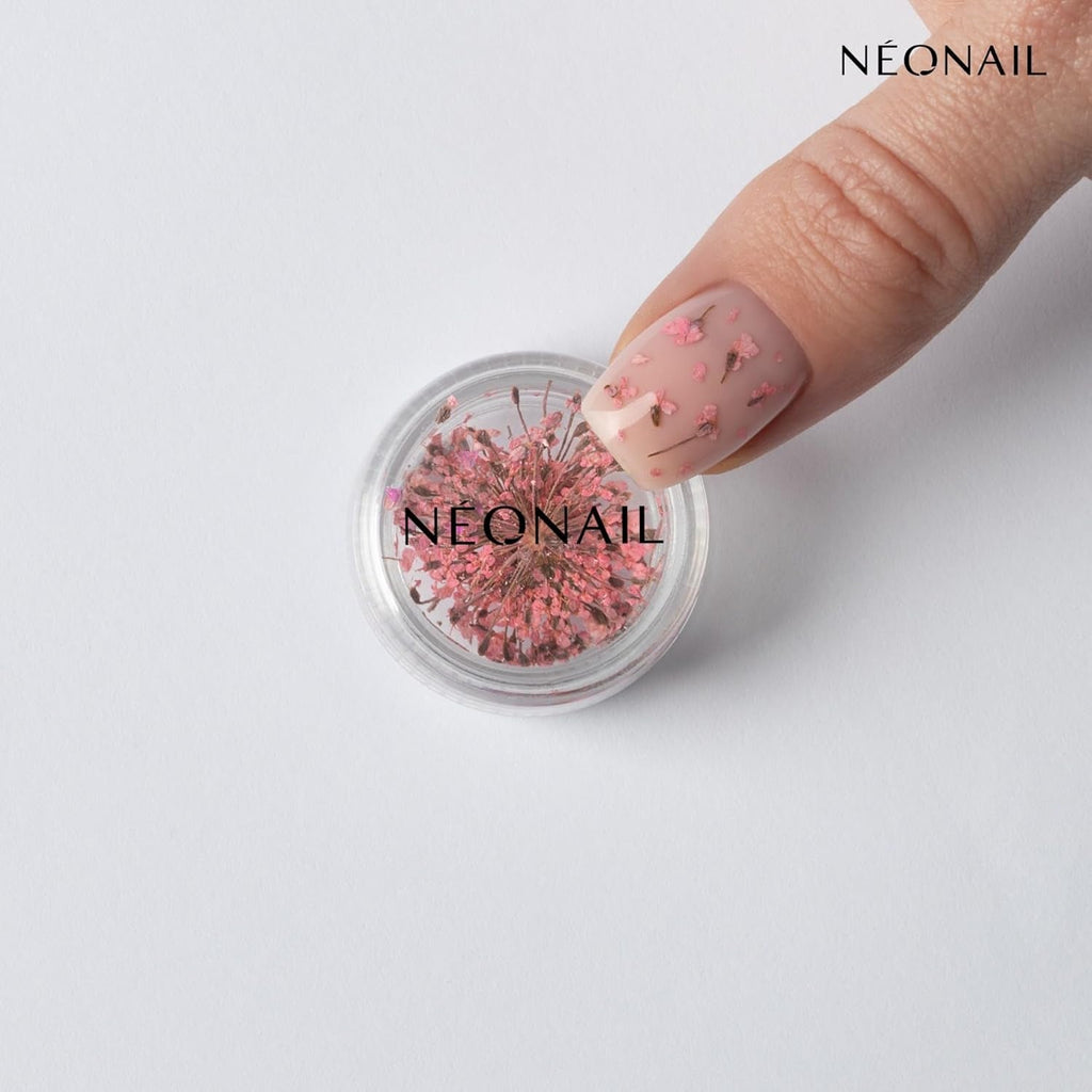 NÉONAIL Nail Art Flowers Set - Trockenblumen - Getrocknete Blumen - Nageldesign Zubehör - Nageldekorationen - Getrocknete Blüten - Nail Decoration - Gelnägel Zubehör - 3 Farben - Rosa, Lila, Orange
