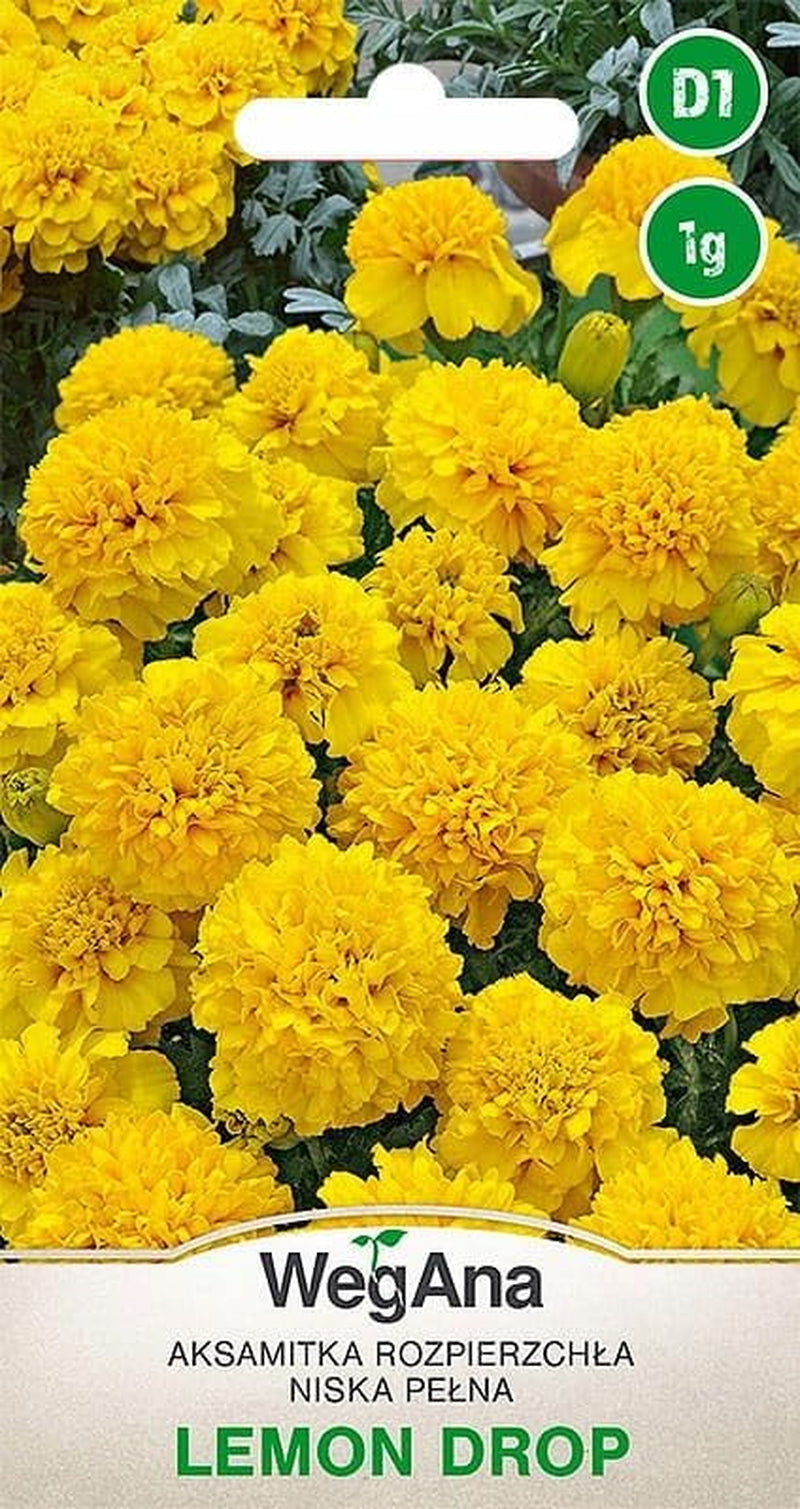 Cosmos Sensation Mix 1g graines, Cosmos Mix Fleurs d'été, Plantes de jardin Plantes de balcon, Graines de fleurs