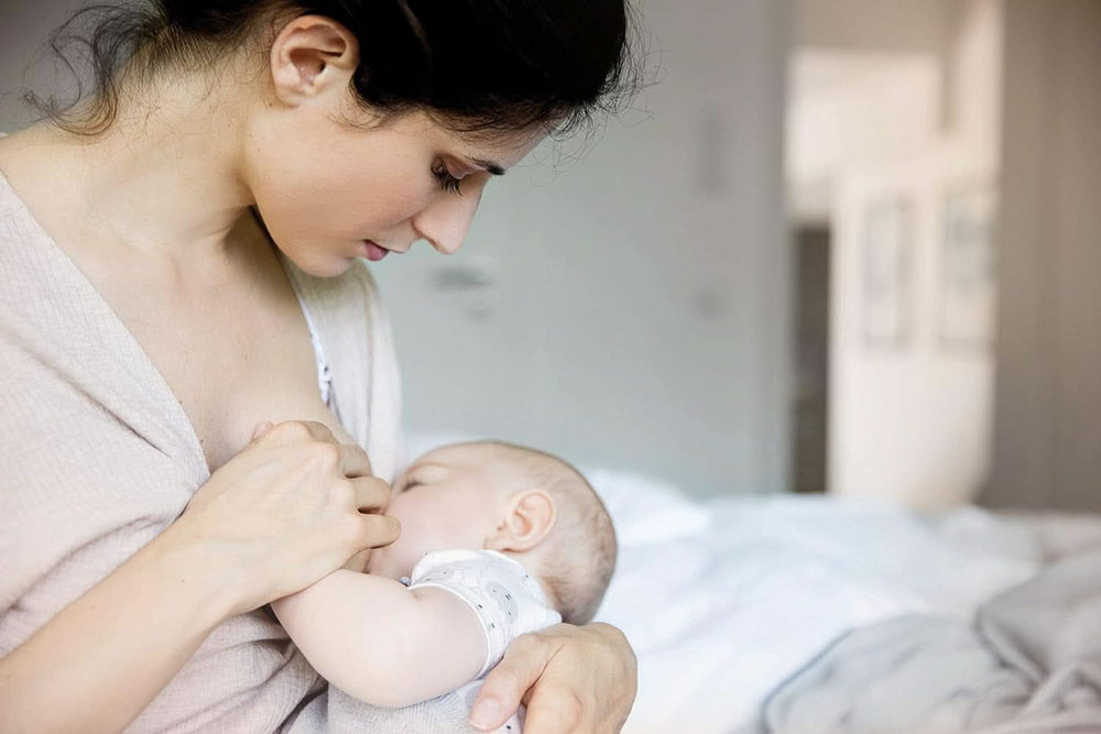 Nip® First Moments téterelles, 2 pièces Accessoires d'alimentation et d'allaitement Bebe Naty Shop