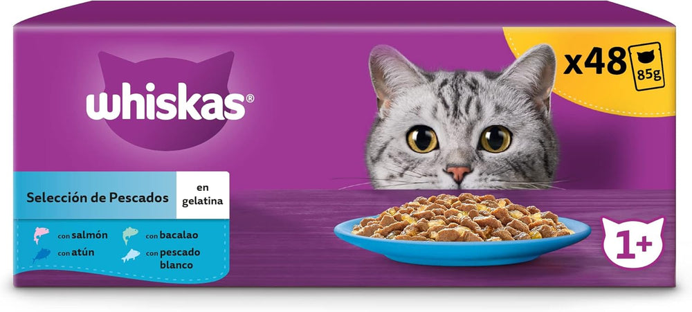 Whiskas Nassfutter für ausgewachsene Katzen, Fischauswahl en gelée (Multipack, 4 x 12 x 85 g)
