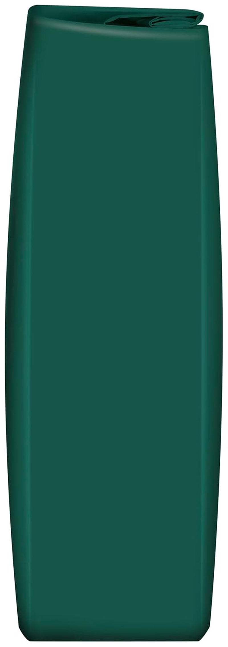 Fuchs Professional - Zwiebelpulver | Schonend verfahrett, zum Würzen von herzhaften Gerichten | Qualité professionnelle pour les grossistes et la gastronomie | Sac recyclable de 1 kg