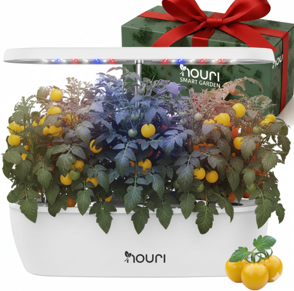 Nouveau pont 7 + basilic héritage | Jardin intelligent pour les cuisiniers à domicile | Système de culture hydroponique | Lampes de culture LED | Kit de jardinage d'herbes aromatiques d'intérieur pour les amateurs de plantes et les jardiniers, blanc