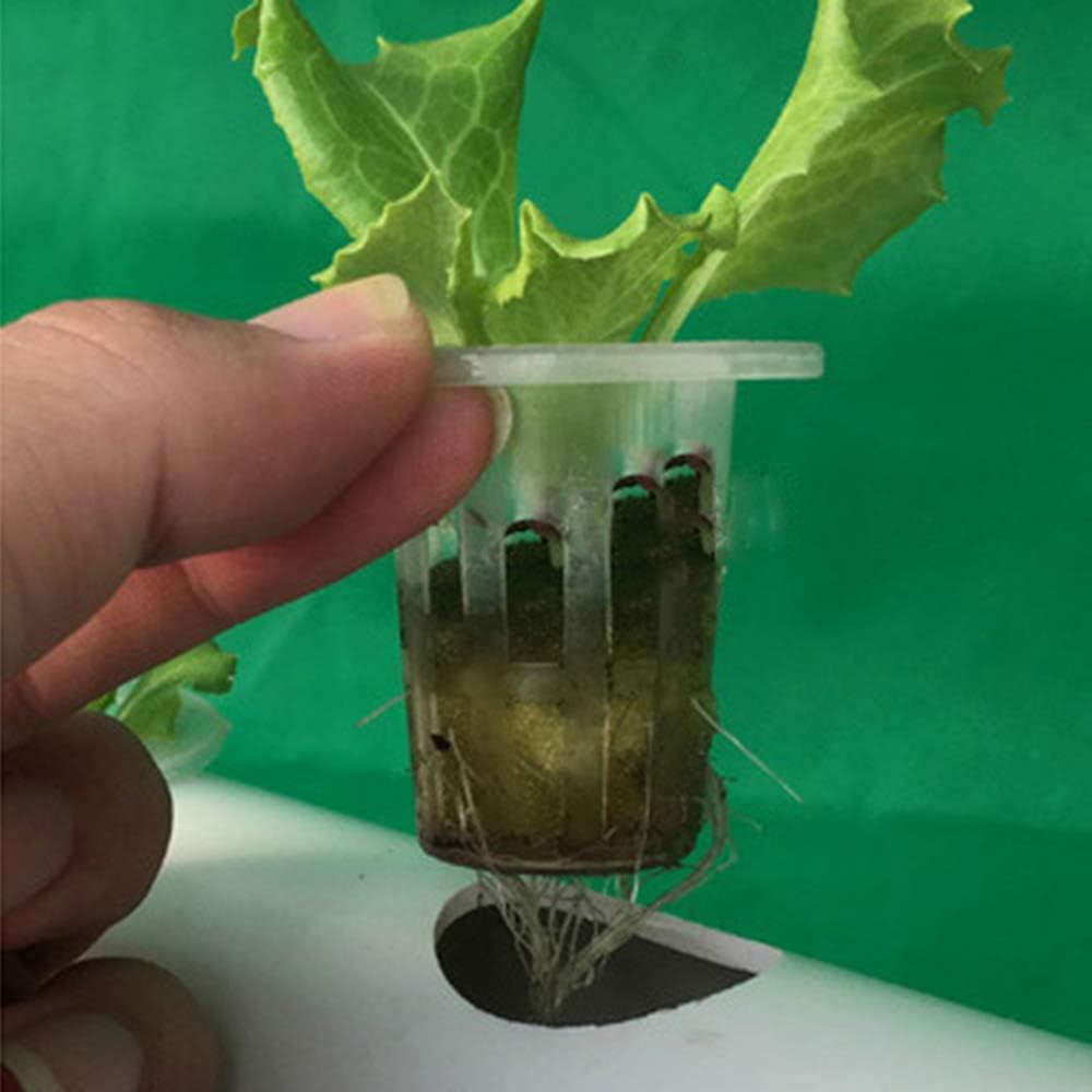 Kit de culture hydroponique 1 couche avec 54 jardinières, systèmes de culture de plantes sans sol en PVC avec pompe à eau, kits de culture hydroponique pour cultiver des légumes et des fruits sur les balcons, les jardins, les patios et les cours