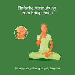 Yogi Tea - Tulsi Serenity Tisane ayurvédique biologique sans caféine Mélange Tulsi "Saint" Basilic Réglisse et Orange Yogi Tea 3 Pack 3X17 Sachets de thé (51 Sachets de thé)