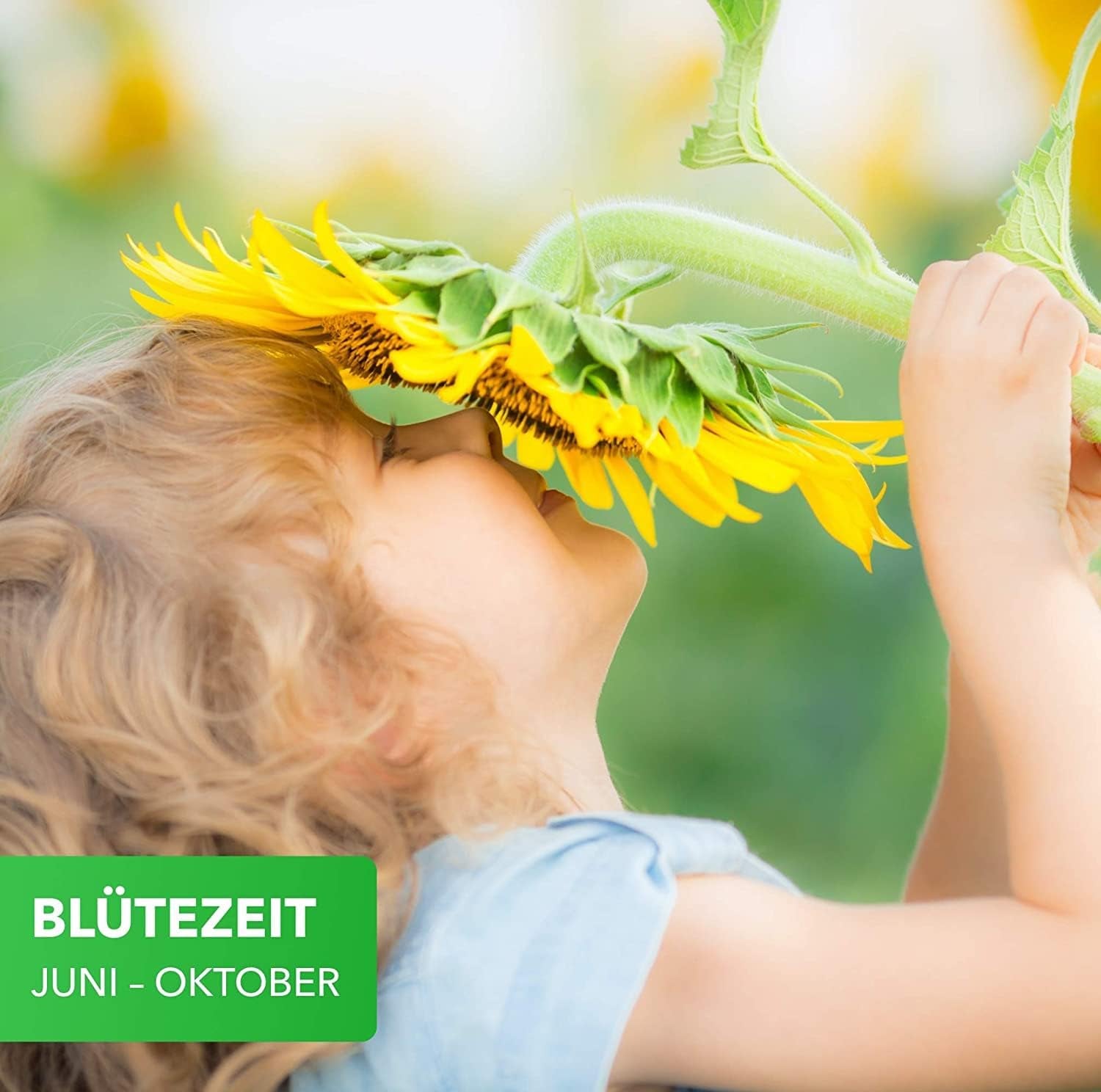 Magie de la Nature 800gr. Blumensamen Mischung - Bienen Paradies - Blumensamen Bienenweide für 150 bis 250 m²