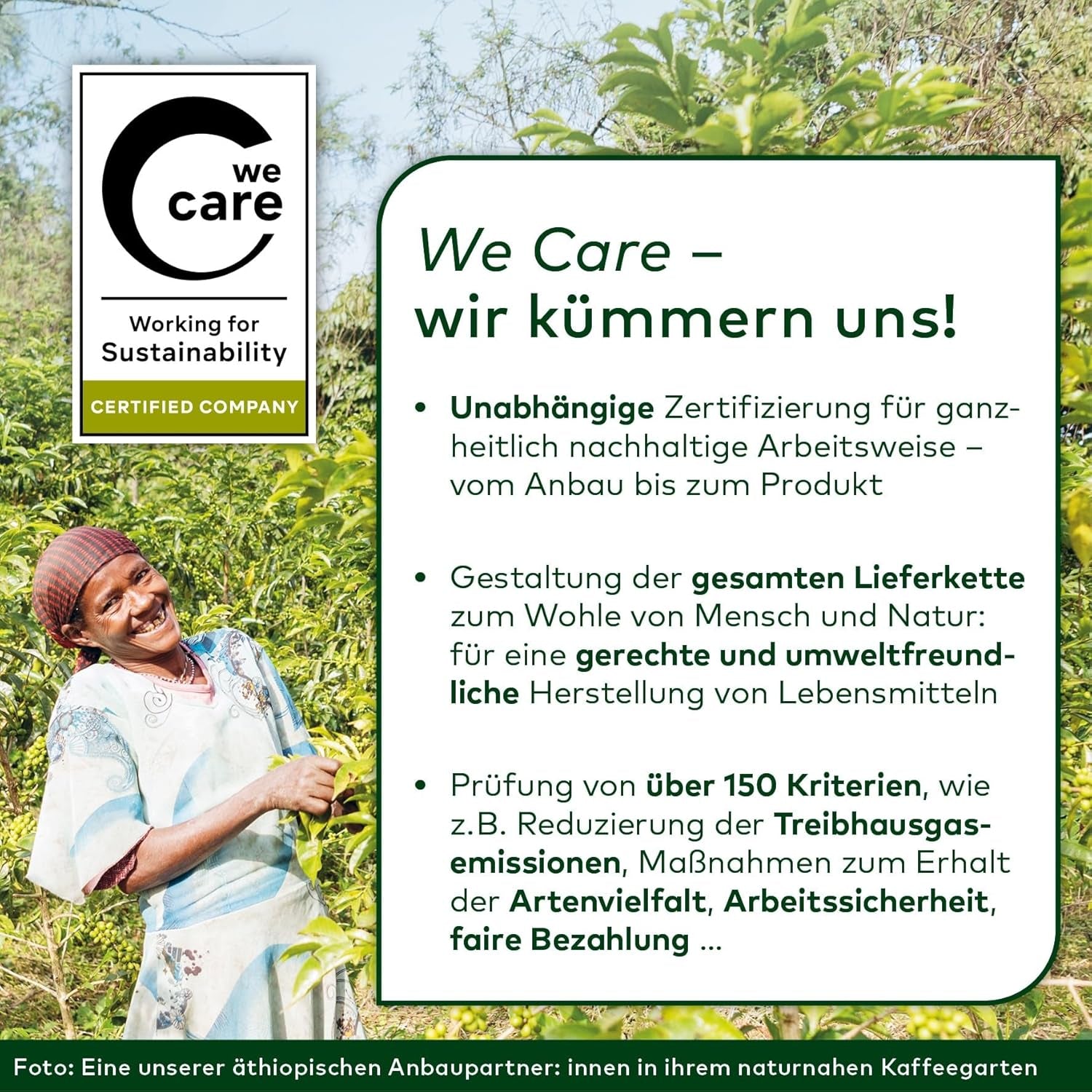 Lebensbaum Garam Masala, Bio-Gewürz zum Würzen von Currys, Rice et Geflügel mit würzig-warmer et angehenm pfeffriger Notes, 40 g