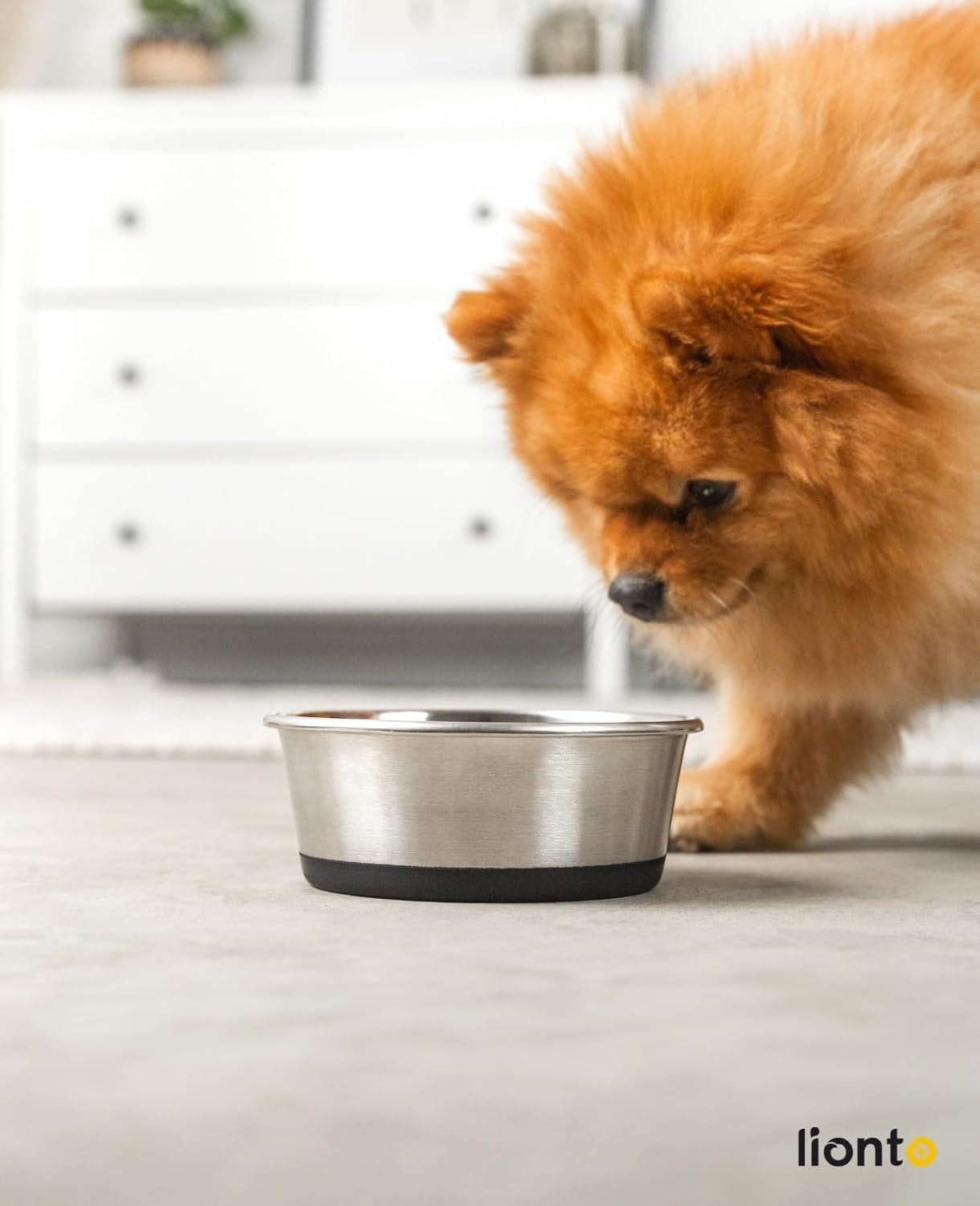 lionto Futternapf aus Edelstahl, 600 ml, lebensmittelechter Hundenapf mit rutschfestem Silikonboden, rostfreier Wassernapf for Hunde and Katzen, spülmaschinenfest