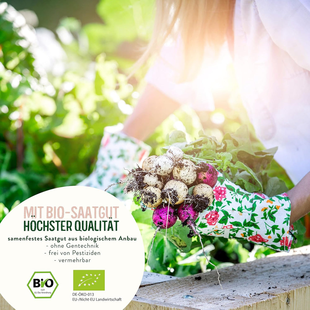 BIO Historisches Gemüse Samen Set I Seltene U. Alte Gemüsesorten Samen Im Gemüsesamen Set I Gemüse Anzuchtset I Samenfestes Saatgut I Samen Gemüse Als Gemüse Samen Set I Tolles Garten Geschenk