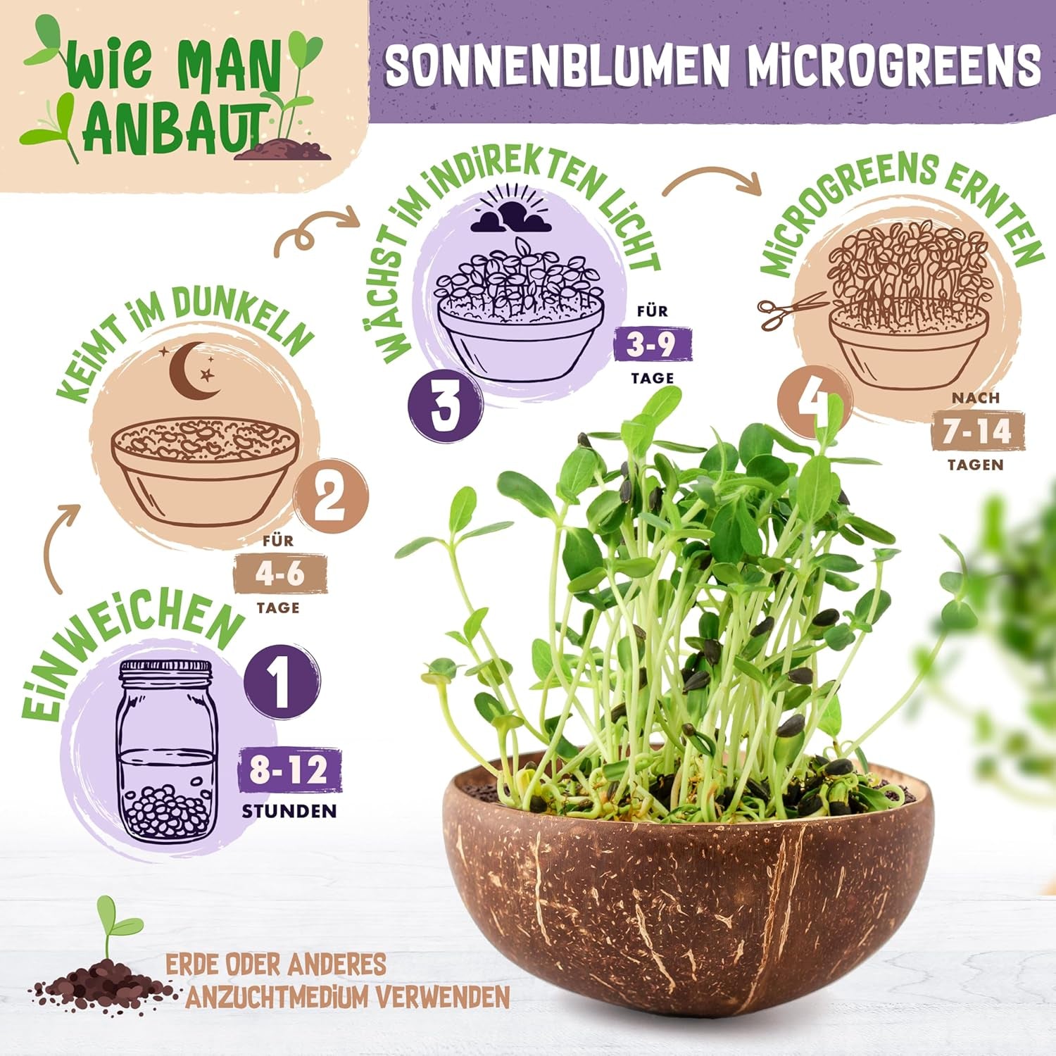 Bio Sonnenblumen Samen - Wähle Zwischen 10G, 200G Und 500G - Sonnenblume Mit Keimrate Von Über 97% - Keimsprossen - Sonnenblumensamen Zum Sprossen Ziehen - Wiederverschließbare Verpackung