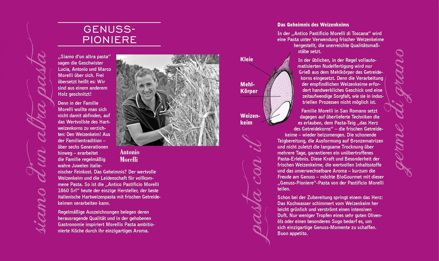 BioGourmet Pappardelle au Germe de Blé – Pâtes larges biologiques pour ragoûts et sauces – avec nutriments supplémentaires | 500 g Bio et Vegan