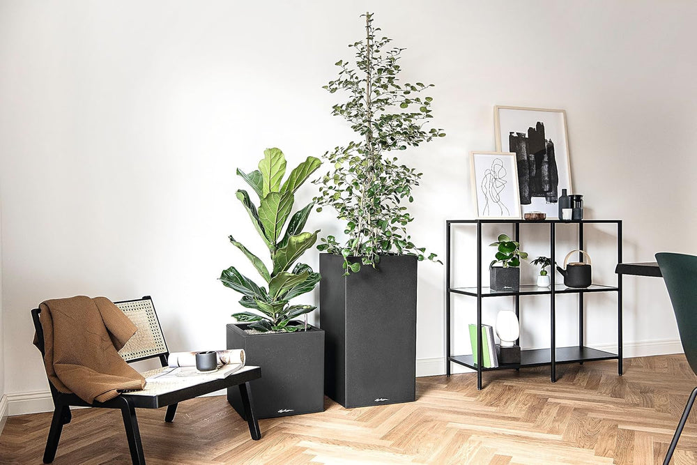 CANTO Jardinière en pierre 30 haut, Noir graphite, Plastique de haute qualité, Système d'arrosage inclus, Insert de plantation amovible, Pour intérieur et extérieur, 13602, 30x30x56 cm