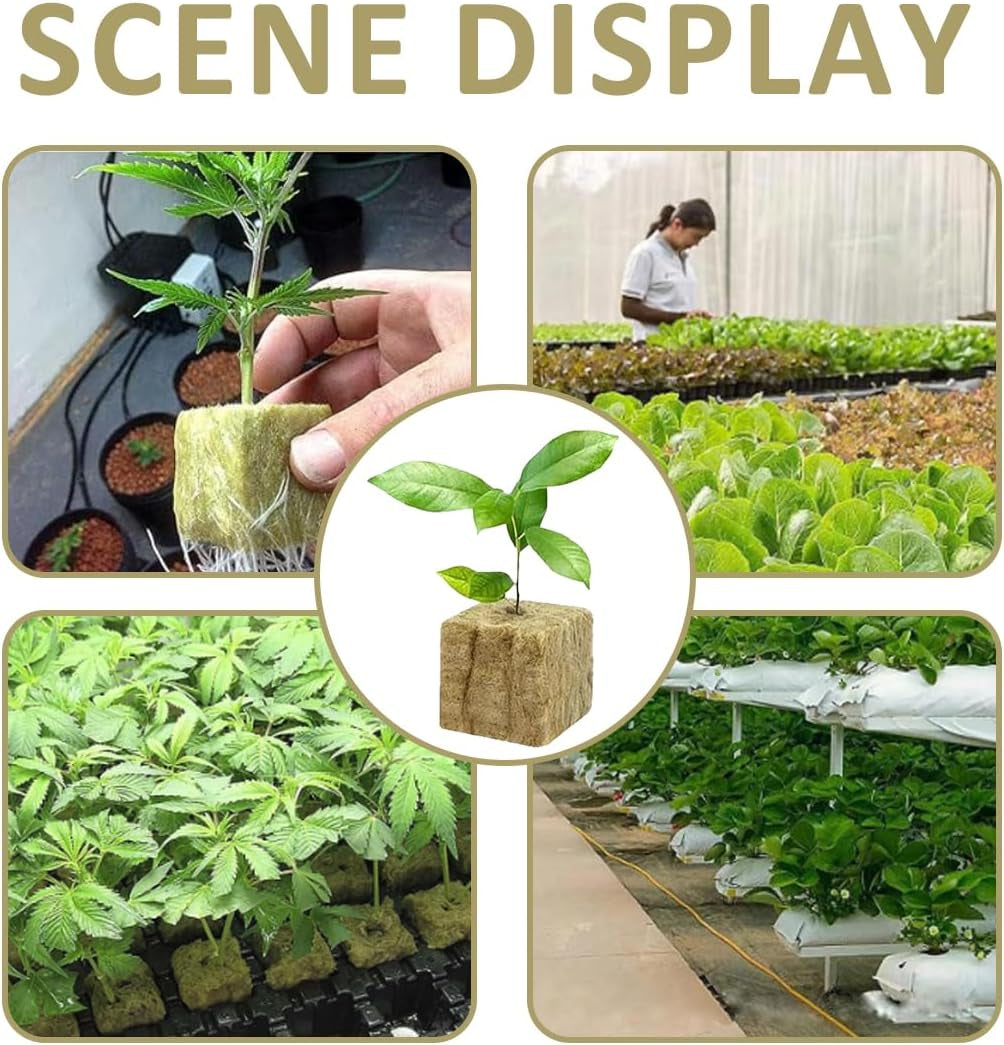 Cubes de semis en laine de roche 28 – Cubes de laine de roche 4 x 4 x 4 cm – Cubes de semis, cubes de laine de roche, systèmes de semis hydroponiques/plantes clonées/projets scolaires, culture de semis sans terre