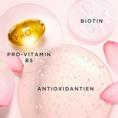 Șampon pentru îngroșarea părului Pantene Pro-V Lift & Volume cu biotină, fără silicon Duș și baie Pantene