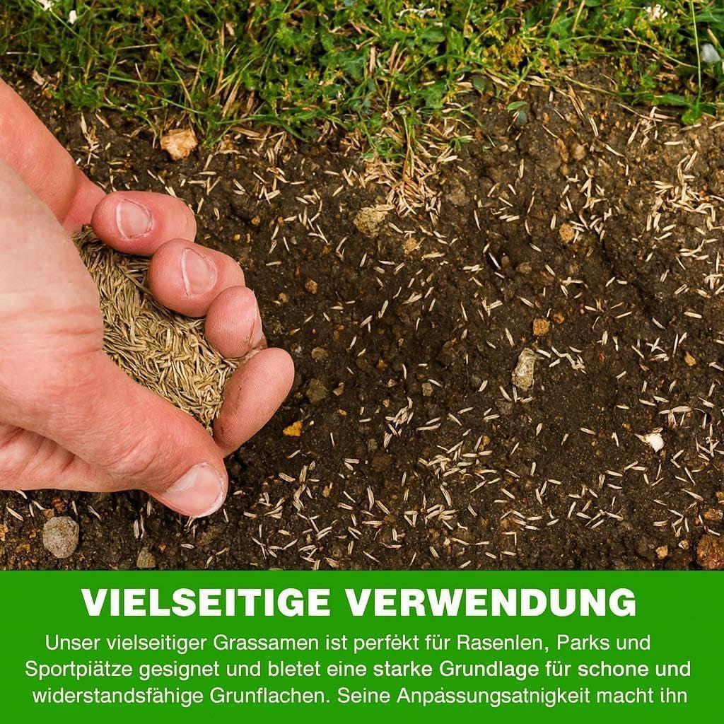 Allzweck-Rasensamen Schnellkeimend – Strapazierfähige, Schnellwachsende Garten-, Spiel- Und Sportrasensamen, Trockenresistent, Ideal Als Neu-Rasensaat Oder Als Reparatur-Rasennachsaat