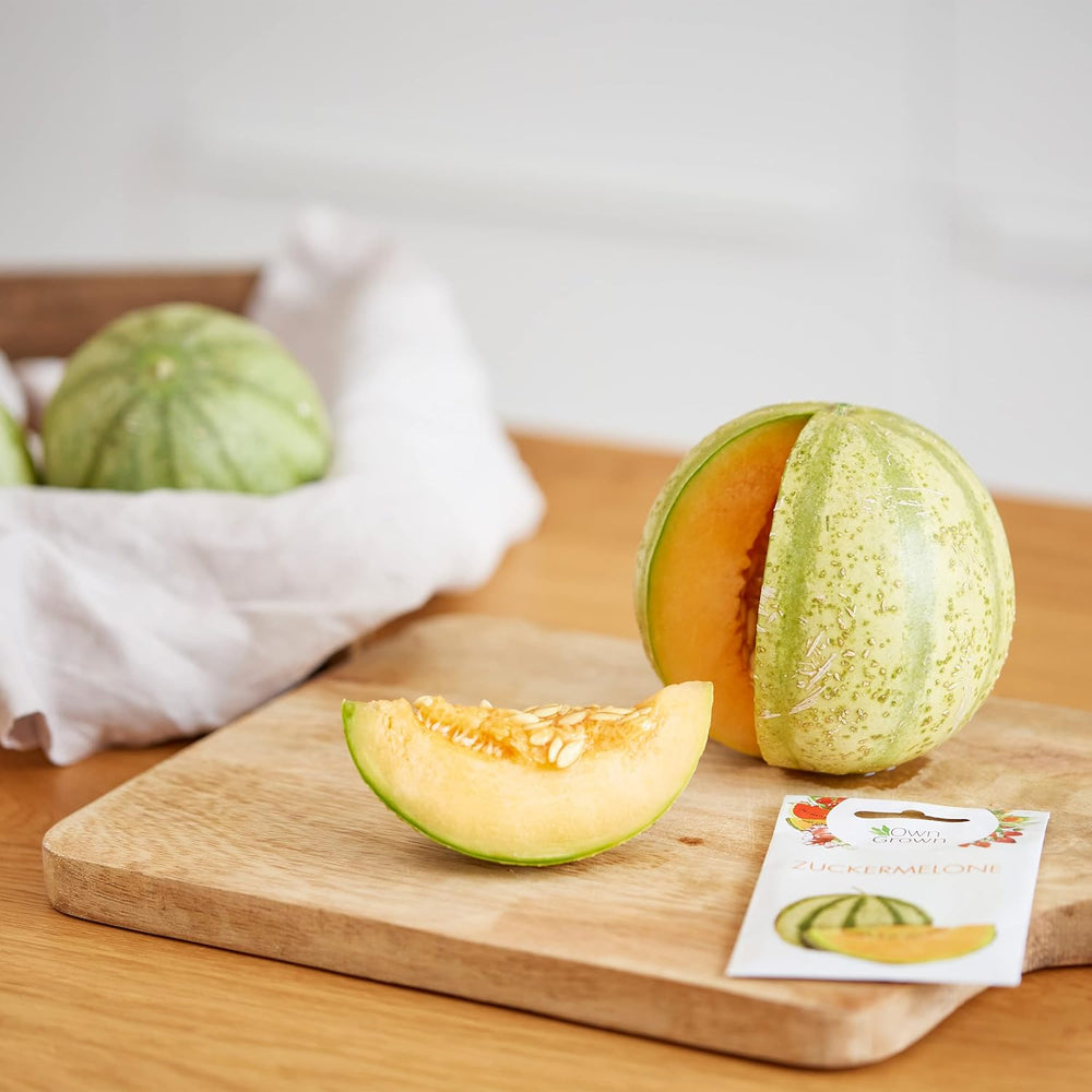 Ensemble de graines de fruits : graines de jardin de qualité supérieure avec 8 variétés de plantes fruitières pour jardin et balcon – graines de pastèque, graines de fraises, groseilles, rhubarbe et plus – Coffret cadeau de graines de fruits de OwnGrown