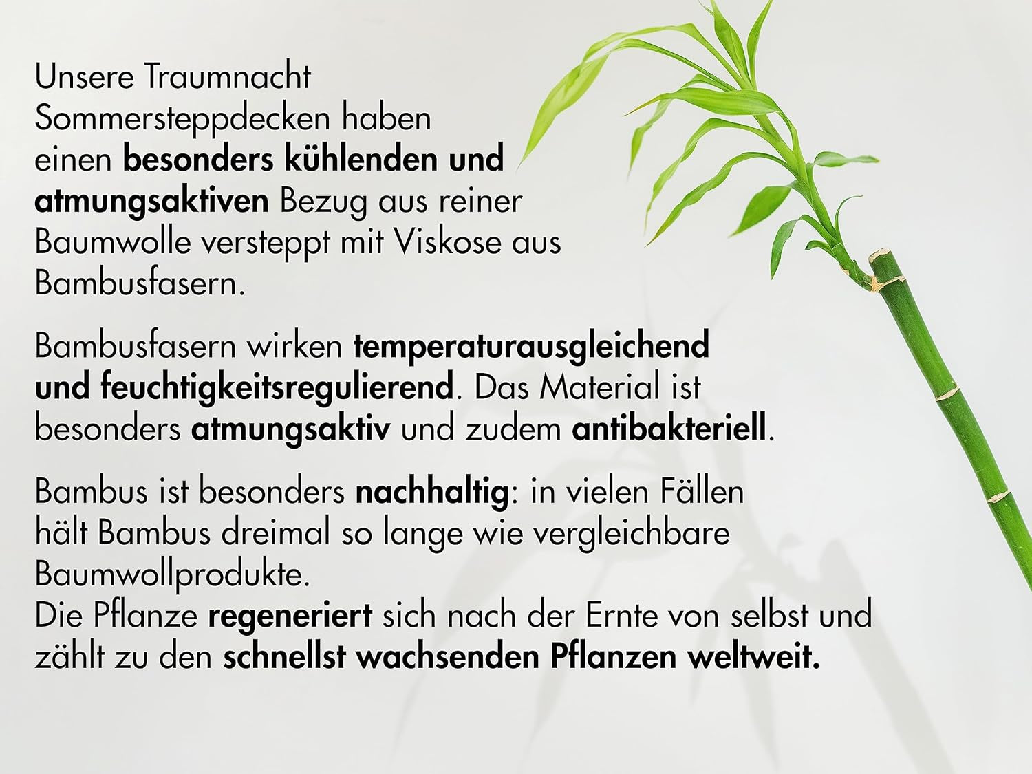 Oreiller Traumnacht en bambou avec fibres de bambou, hypoallergénique, antibactérien Ensemble d'oreillers avec fermeture éclair, composé de 2 oreillers 40X80Cm, certifié Oeko-Tex, développé en Allemagne Oreillers standards Naty Shop