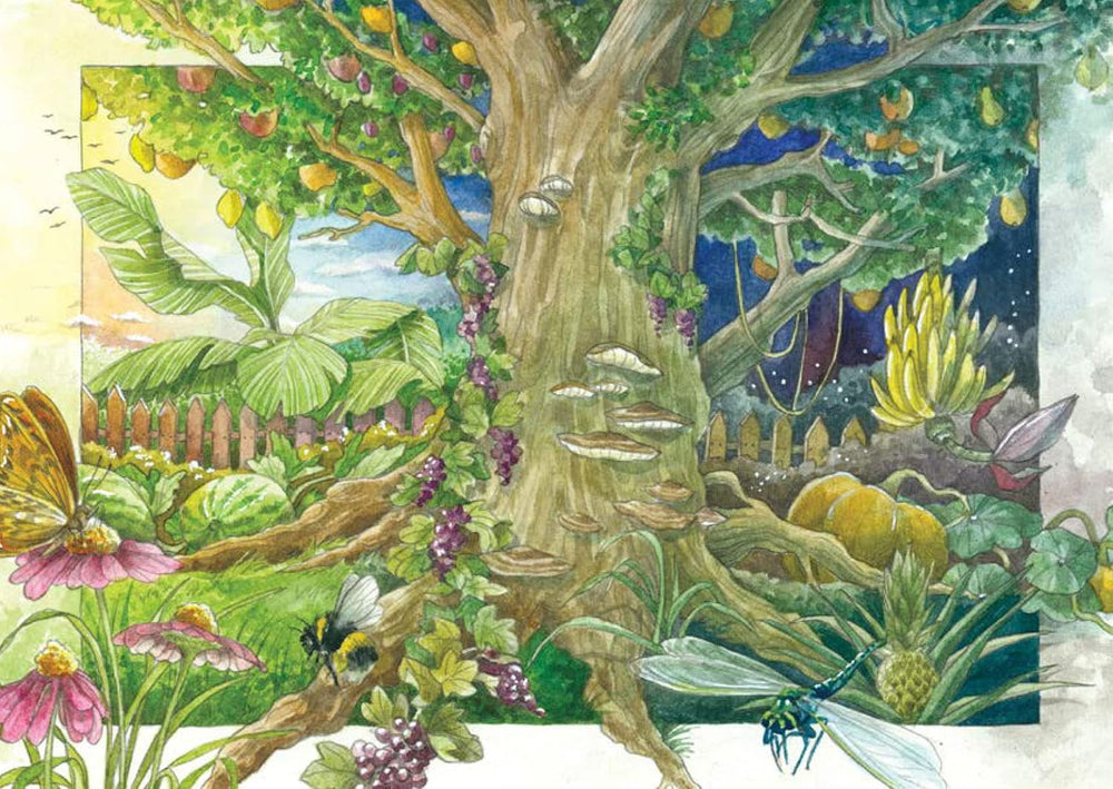 Permakultur - Samen-Geschenkset Mit 8 Nutzpflanzen Für Den Waldgarten