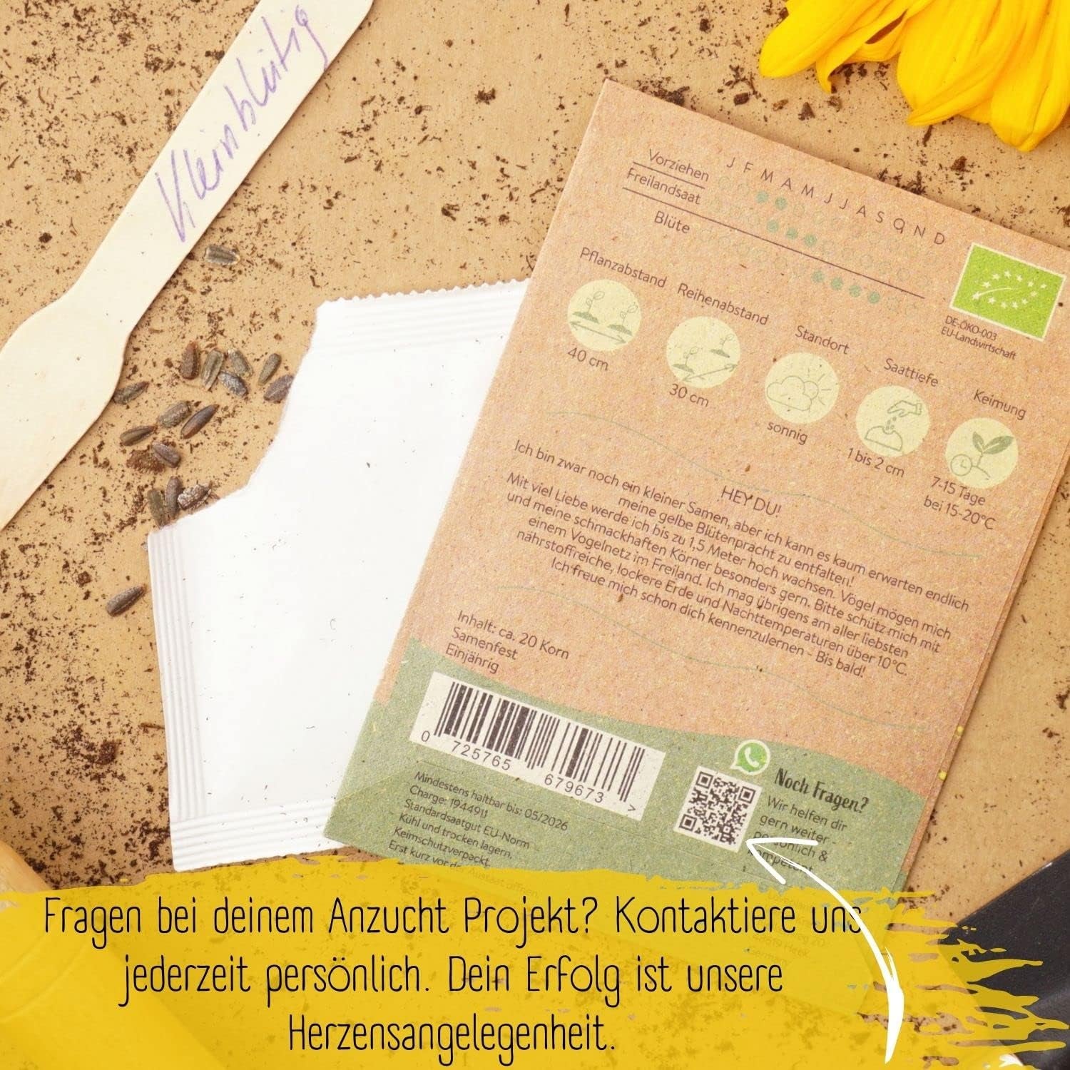 Bio Kleine Sonnenblumen Samen, 20 Blumensamen Mit Hoher Keimquote, Sonnenblumensamen Für Deinen Garten, Balkon, Beet Oder Als Gastgeschenk. Samenfestes Blumen Saatgut.
