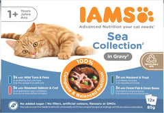 IAMS Delights Sea Collection Katzenfutter Nass - Multipack mit Fisch Sorten (Lachs, Thunfisch, Maquereau, Seefisch) en Sauce, Nassfutter für Katzen à partir de 1 janvier, 12 x 85g