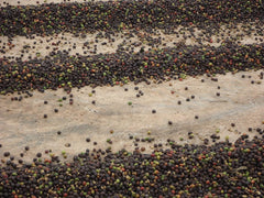 CAFES GUILIS DESDE 1928 AMANTES DEL CAFÉ - Cafea boabe Arabica decofeinizată 1 Kg Cafea Naty Shop