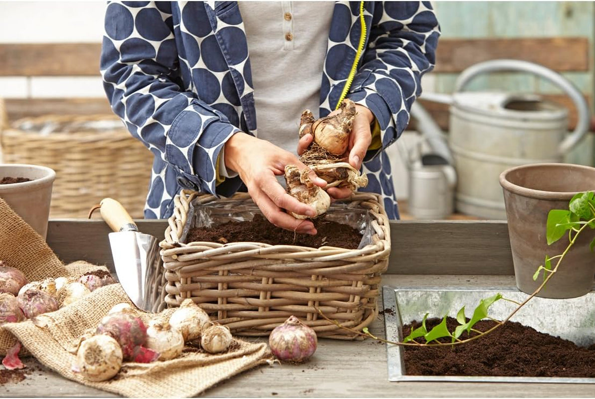 Ghiveci Dehner din ratan, aprox. 40 x 23 x 20 cm, țesătură de ratan, gri/maro