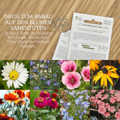 Graines de fleurs pour le jardin et le balcon : 10 variétés de graines de fleurs de qualité supérieure sous forme de kit de graines de plantes - graines de fleurs de balcon - graines de fleurs sauvages pour le balcon et le jardin de OwnGrown