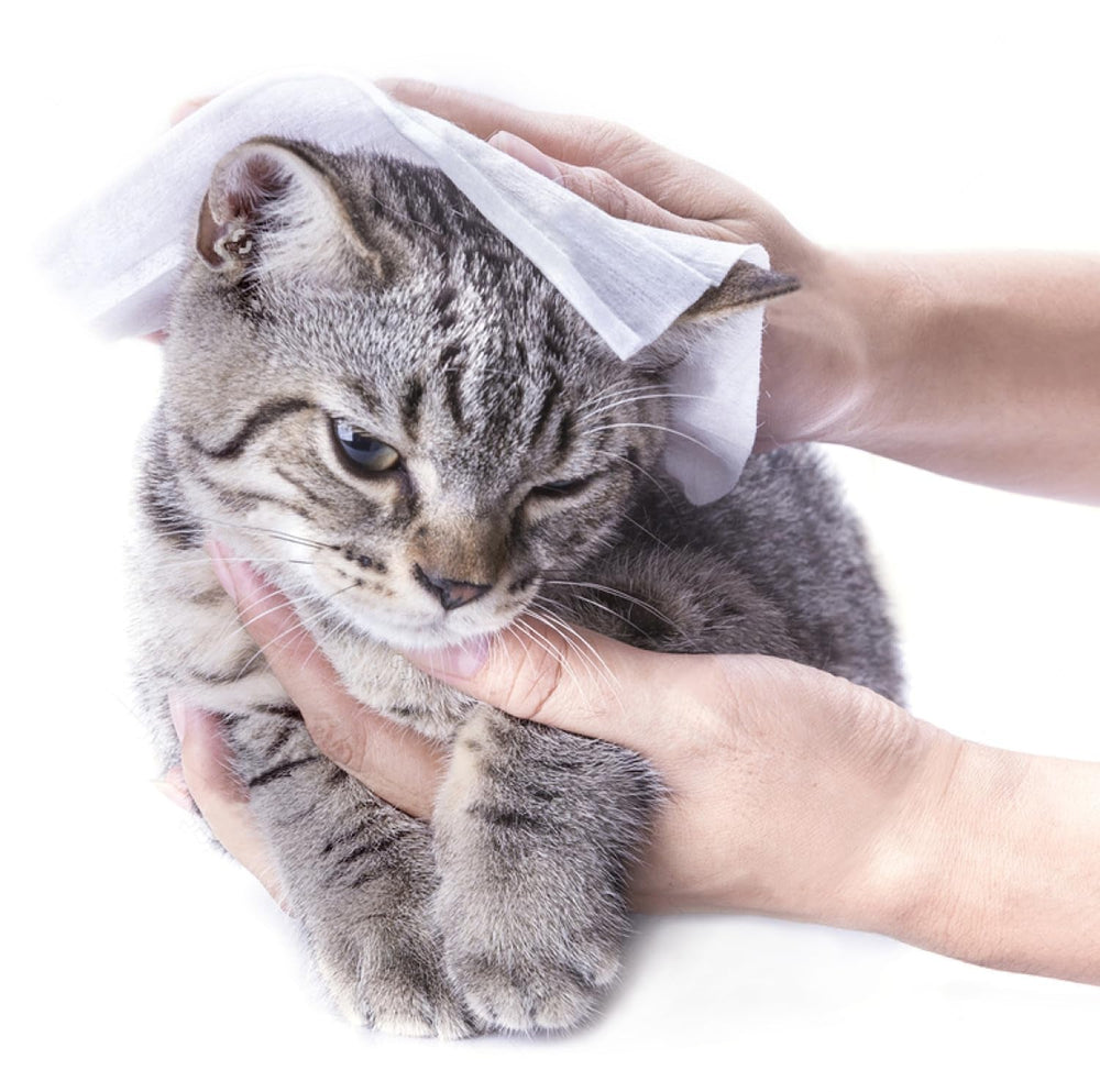 Go 07 Citronnelle Lingette nettoyante compressée avec liquide 50 pièces