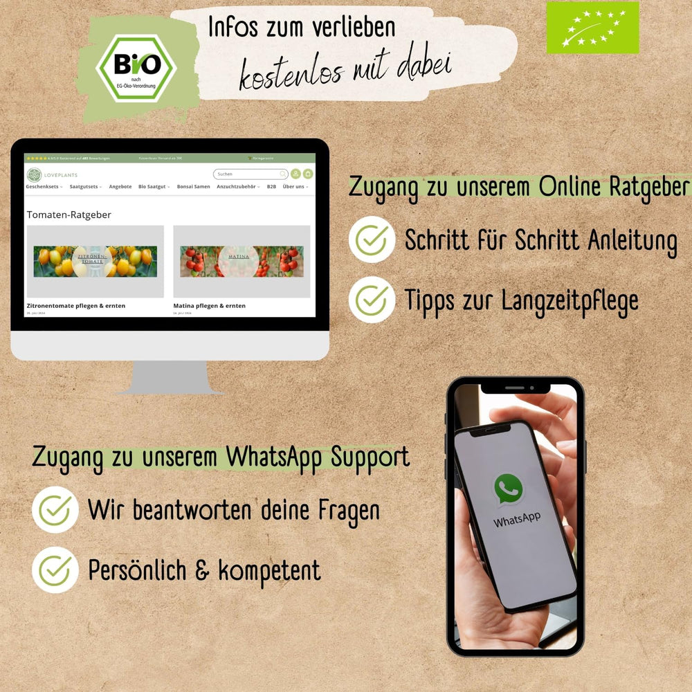 Ensemble de mini graines de tomates biologiques : 12 variétés de tomates cultivées librement | Graines de Tomates Cerise et Beefsteak Rares et Familiales | Graines de légumes pour balcon, plate-bande surélevée, jardin et cadeau | Plantes d'amour