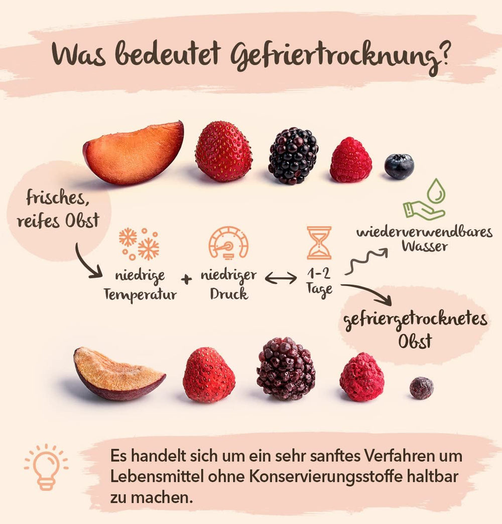 Fruits lyophilisés BRIX | Mélange naturel de fruits secs 80 g | Grand Prix du Goût pour les Fruits Secs | Sans OGM, sans gluten, végétalien, vitamines retenues Naty Shop Produits déshydratés