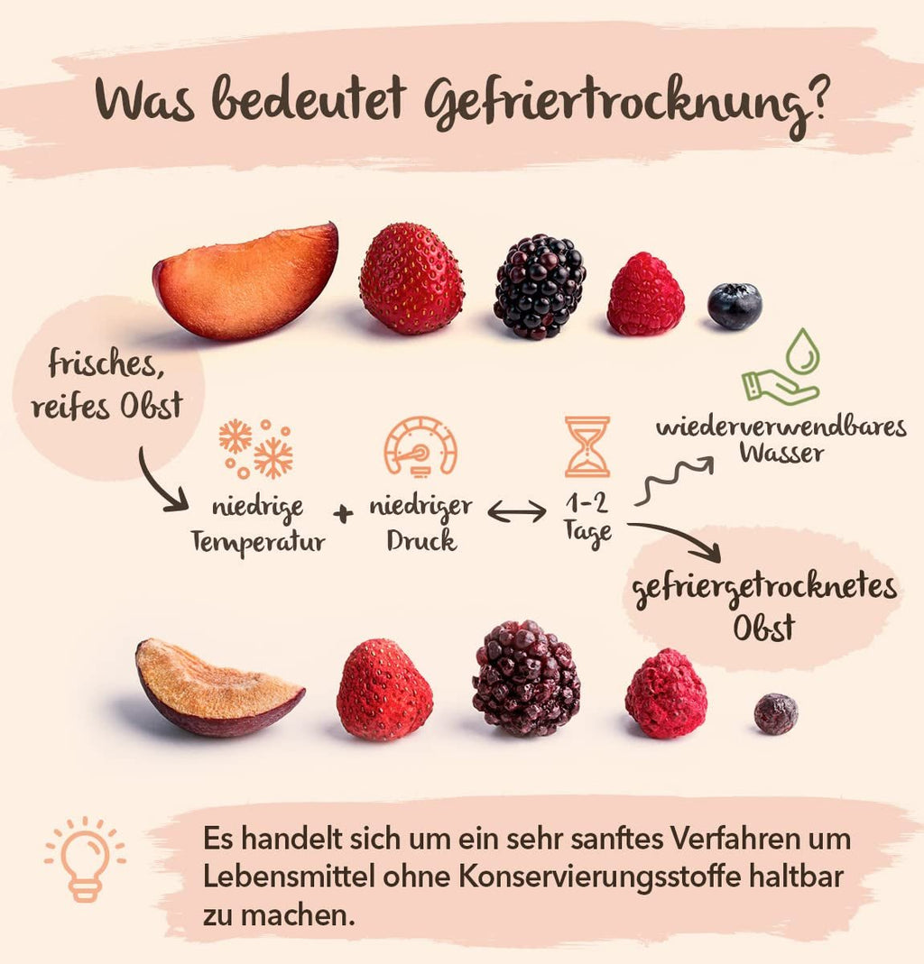 Fructe liofilizate BRIX | Amestec natural, uscat, de fructe tropicale 80 g | Premiul Great Taste pentru fructe uscate | Fără OMG, fără gluten, vegan, vitaminele sunt păstrate Produse deshidratate Naty Shop