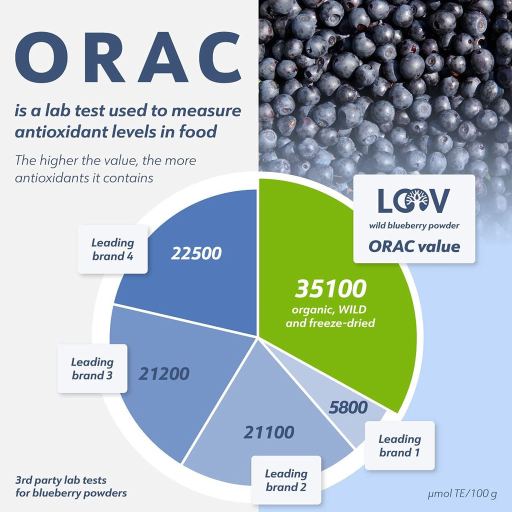 LOOV Organic Wild Blueberry Powder - rezervă pentru 29 de zile, 171 g, bună pentru smoothie-uri și mic dejun, congelată și uscată, din Europa de Nord, fără zahăr adăugat Produse deshidratate Naty Shop