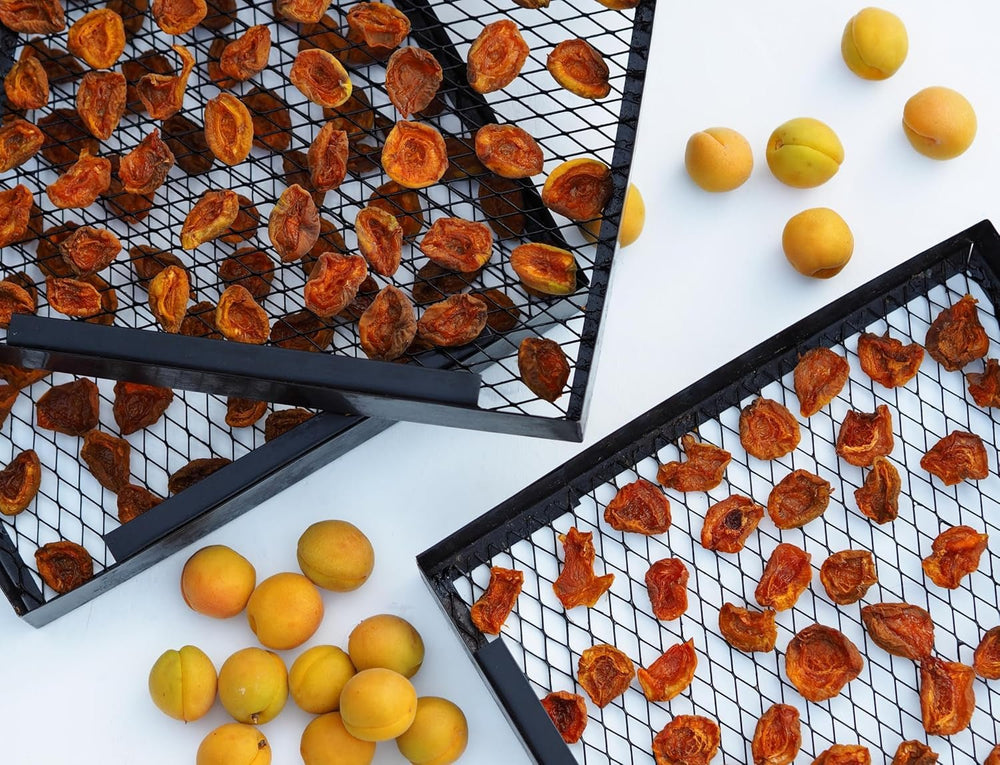 Mundo Feliz Abricots secs avec noyaux issus de l'agriculture biologique, 2 x 500 g Produits déshydratés Mon magasin