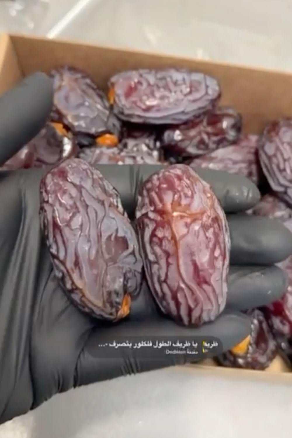 NABALI FAIRKOST FOR ALL Dattes Medjool Medjoul de Palestine - 100% naturel vegan aromatique traditionnel frais et oriental I sans conservateurs 5 kg (1 paquet), Petits/Moyens Produits déshydratés Naty Shop