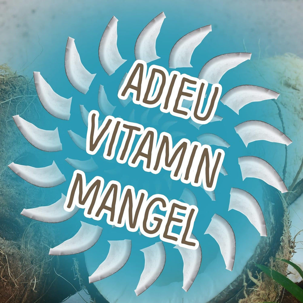 Noix de coco lyophilisée : 50g de fruits lyophilisés - bonbons vegan cubes de noix de coco sucrés - fruits naturellement séchés de NutriPur Produits déshydratés Naty Shop