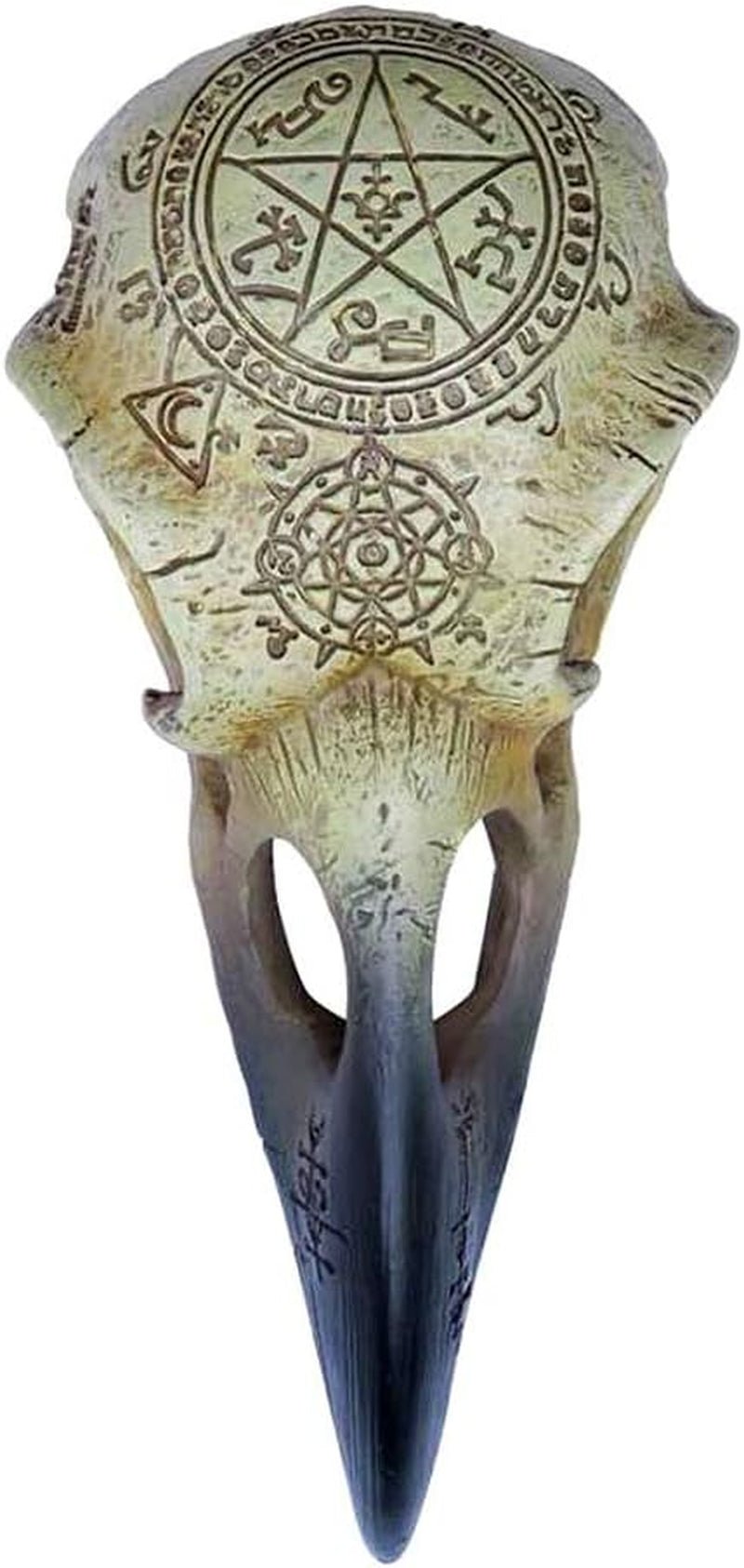 Statuettes et sculptures Omega Raven Skull Naty Shop