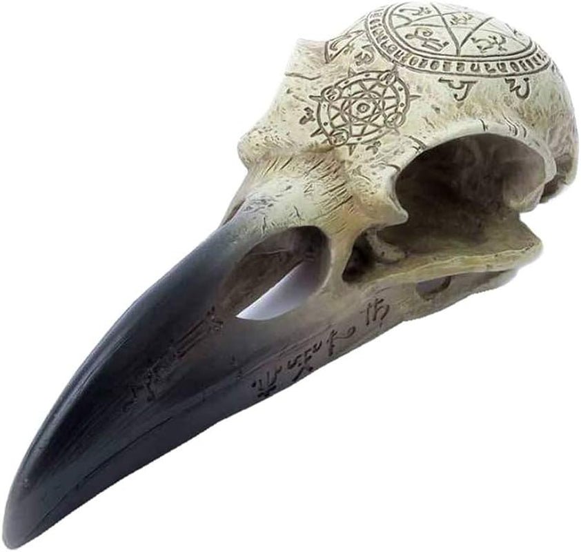 Omega Raven Skull Statuettes et sculptures Naty Shop Titre par défaut