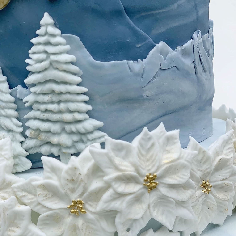 Lot de 5 décorations comestibles en sucre, Décorations d'hiver en pâte à sucre Nati Shop